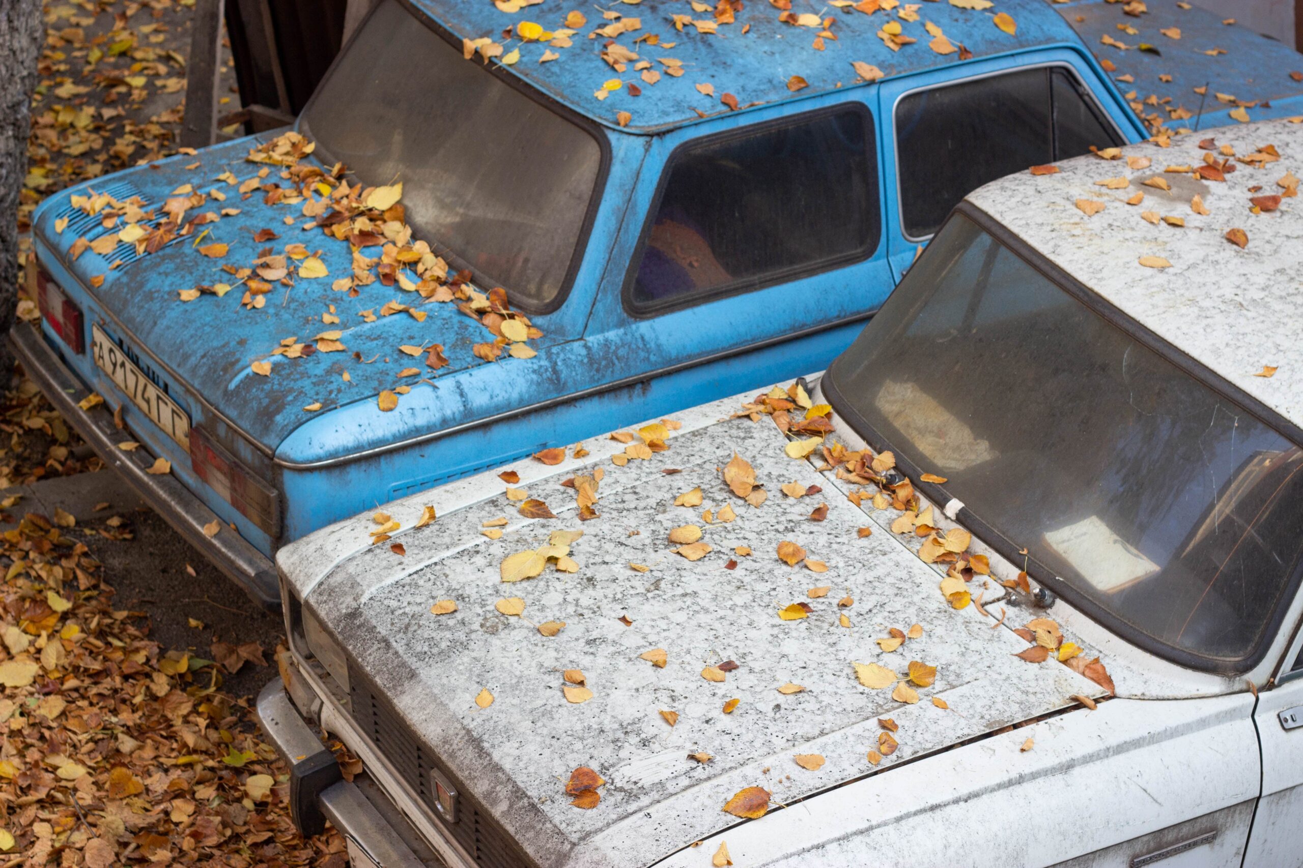 Vehicle Disposal